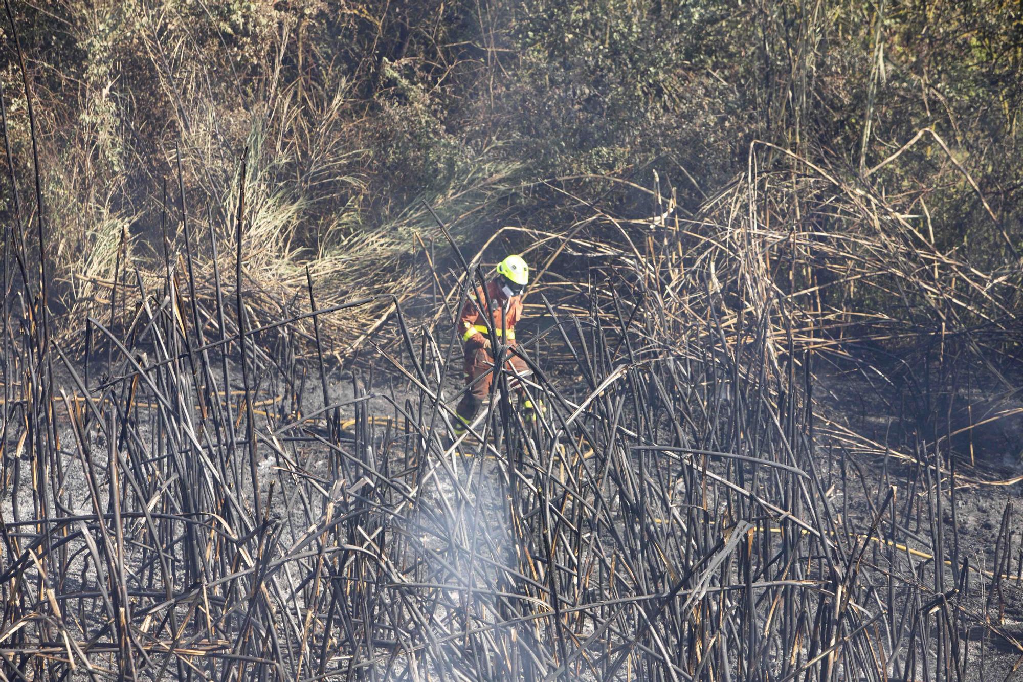 Los incendios de Ontinyent y L'Olleria movilizan una importancia dotación de bomberos y hasta 16 medios áreos