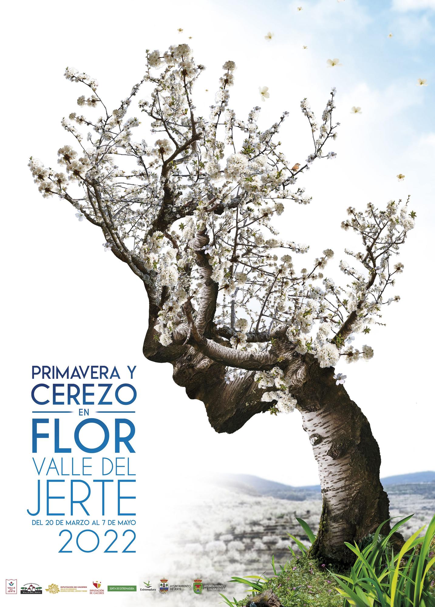 Cartel de Primavera y Cerezo en Flor en el  Valle del Jerte 2022