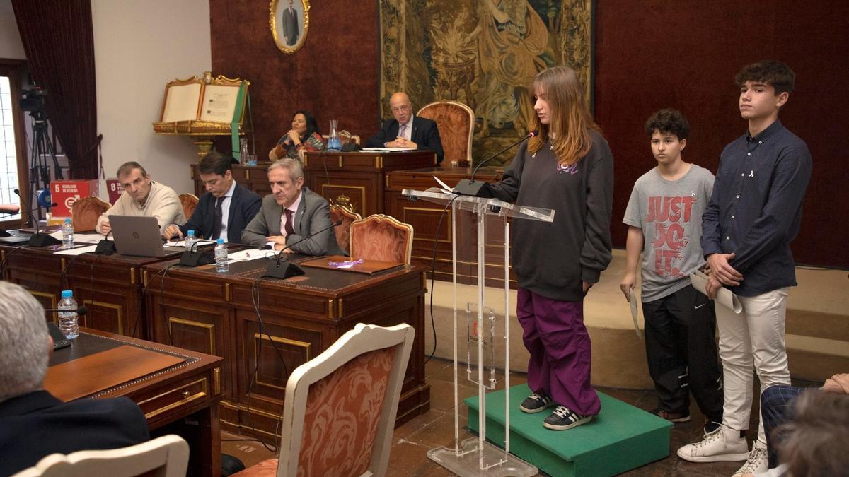 Varios menores han intervenido en el Pleno de la Diputación del 25N.