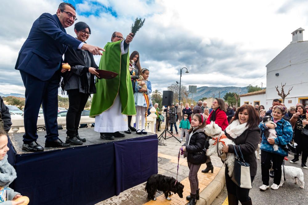 Benidorm celebra Sant Antoni