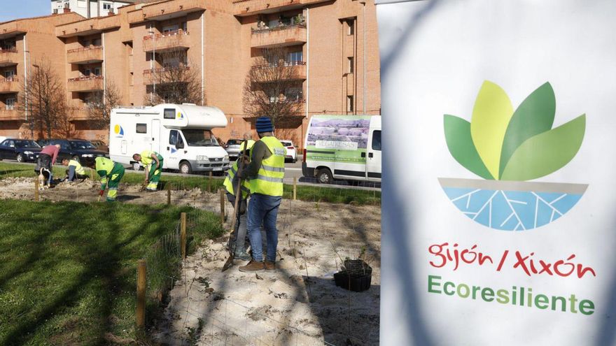 Gijón fija su estrategia de futuro para &quot;llevar el verde a las calles&quot;