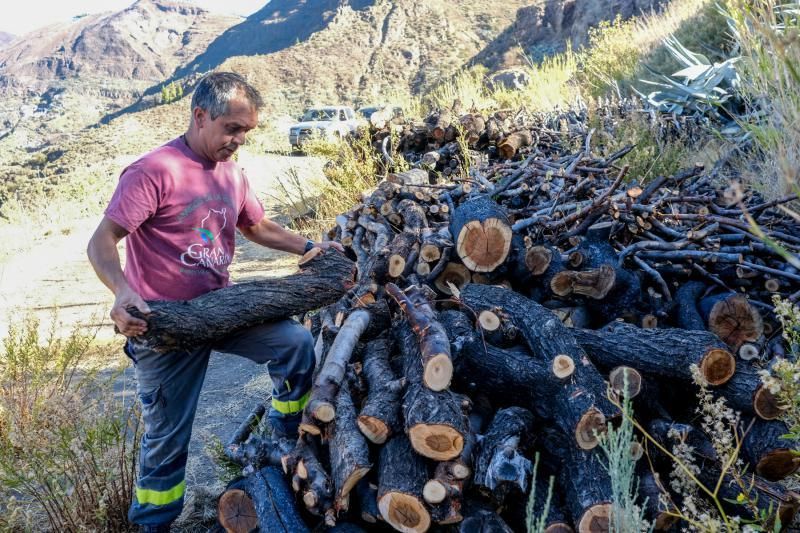 Tejeda. Carmelo Jiménez, Carbonero.  | 11/10/2019 | Fotógrafo: José Carlos Guerra