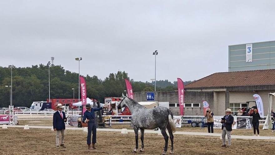 Equina Galicia presume de nivel deportivo en su jornada inaugural