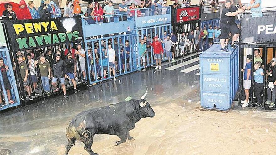 La intensa lluvia no puede con la afición taurina de l’Alcora