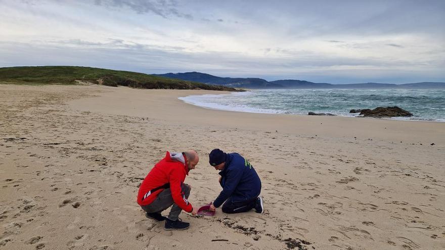 A Deputación da Coruña inviste 900.000 euros na limpeza das praias de 41 concellos