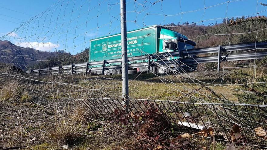 El Ayuntamiento y los cazadores de Mieres exigen reparar el cierre de la Autovía Minera para evitar accidentes con los animales