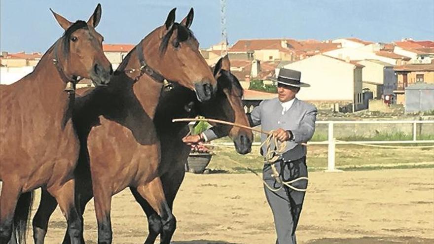 La feria celebra sus veinte años con la presencia de 28 ganaderías selectas