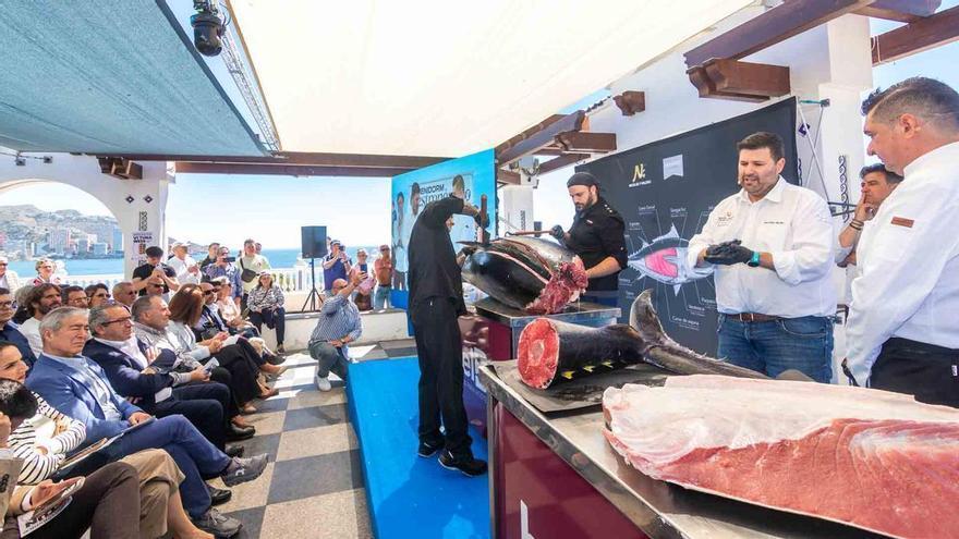 Un atún rojo de 280 kilos abre en Benidorm diez días de sabor y tradición