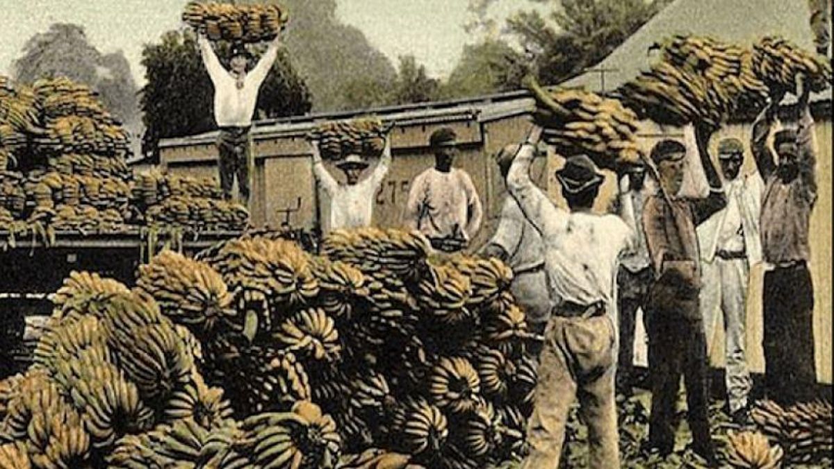 El Banano La Fruta Maldita De América Latina Por Mauricio Bernal El Banano La Fruta Maldita De América Latina Por Mauricio Bernal