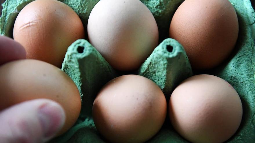 Asturias, vigilante contra los huevos contaminados, detectados en el País Vasco