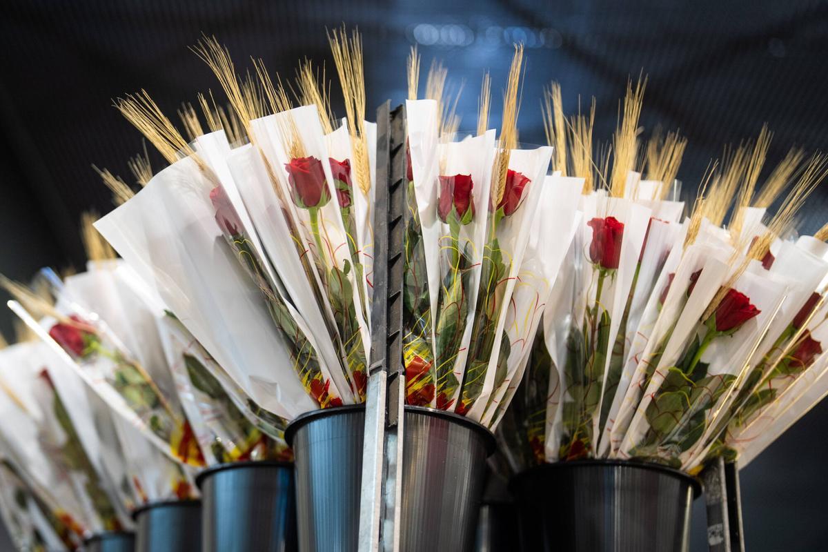 Rosas para Sant Jordi en el mercado de la flor de Mercabarna