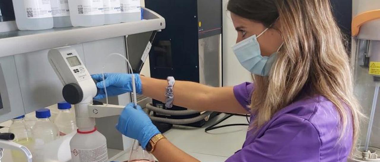 Marta Carvalho en el laboratorio del grupo. | | LP/DLP