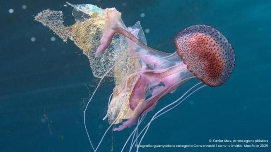 Oberta la sisena MedFoto, mostra del Concurs de Fotografia de la Mediterrània