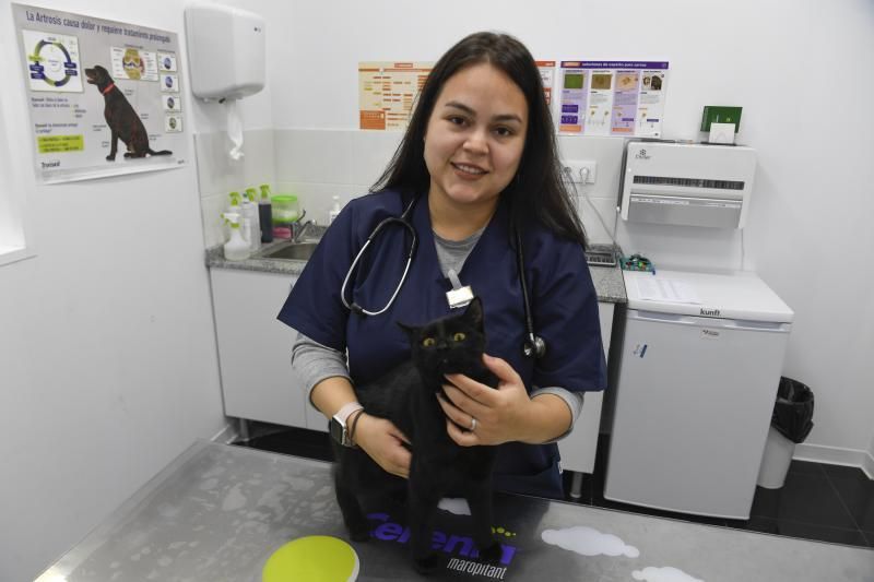 01-04-20  LAS PALMAS DE GRAN CANARIAS. BALOS. VECINDARIO. SANTA LUCIA DE TIRAJANA. Especial profesiones esenciales, Fernanda Bethencourt, veterinaria.    Fotos: Juan Castro.  | 01/04/2020 | Fotógrafo: Juan Carlos Castro