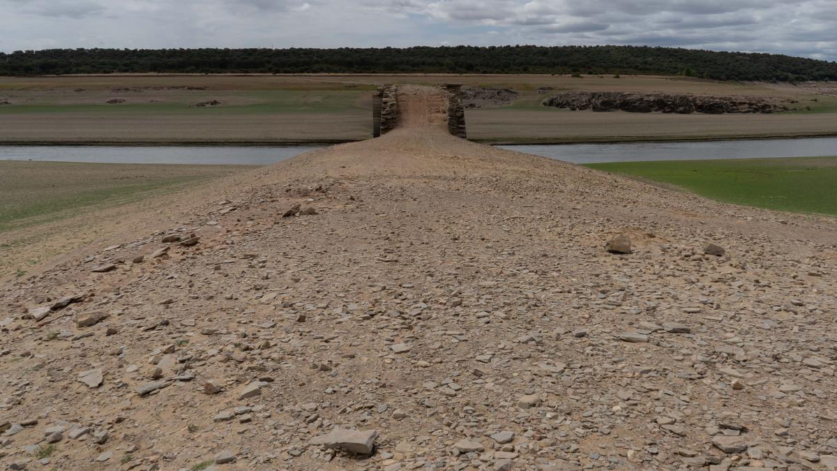 Estado actual del embalse de Ricobayo.