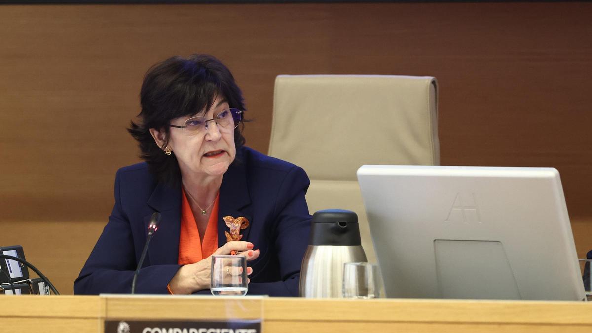 La presidenta de la Comisión Nacional de los Mercados y la Competencia, Cani Fernández .