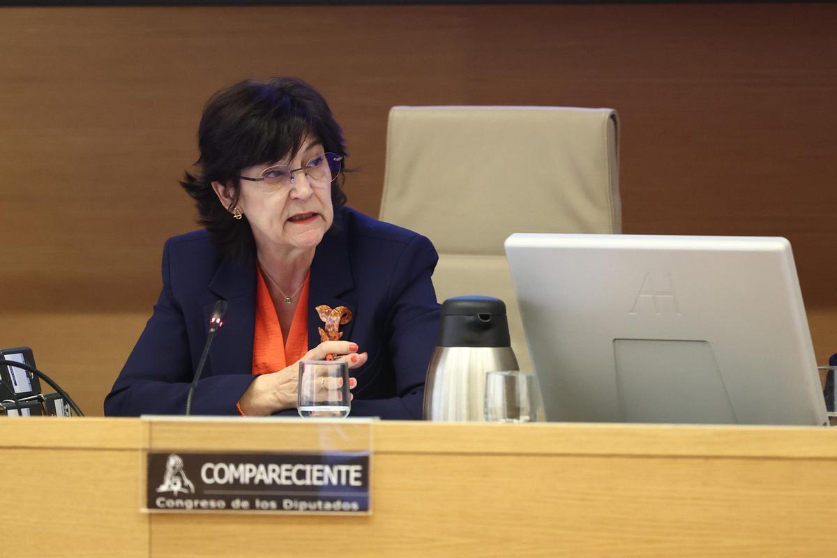 La presidenta de la Comisión Nacional de los Mercados y la Competencia, Cani Fernández .