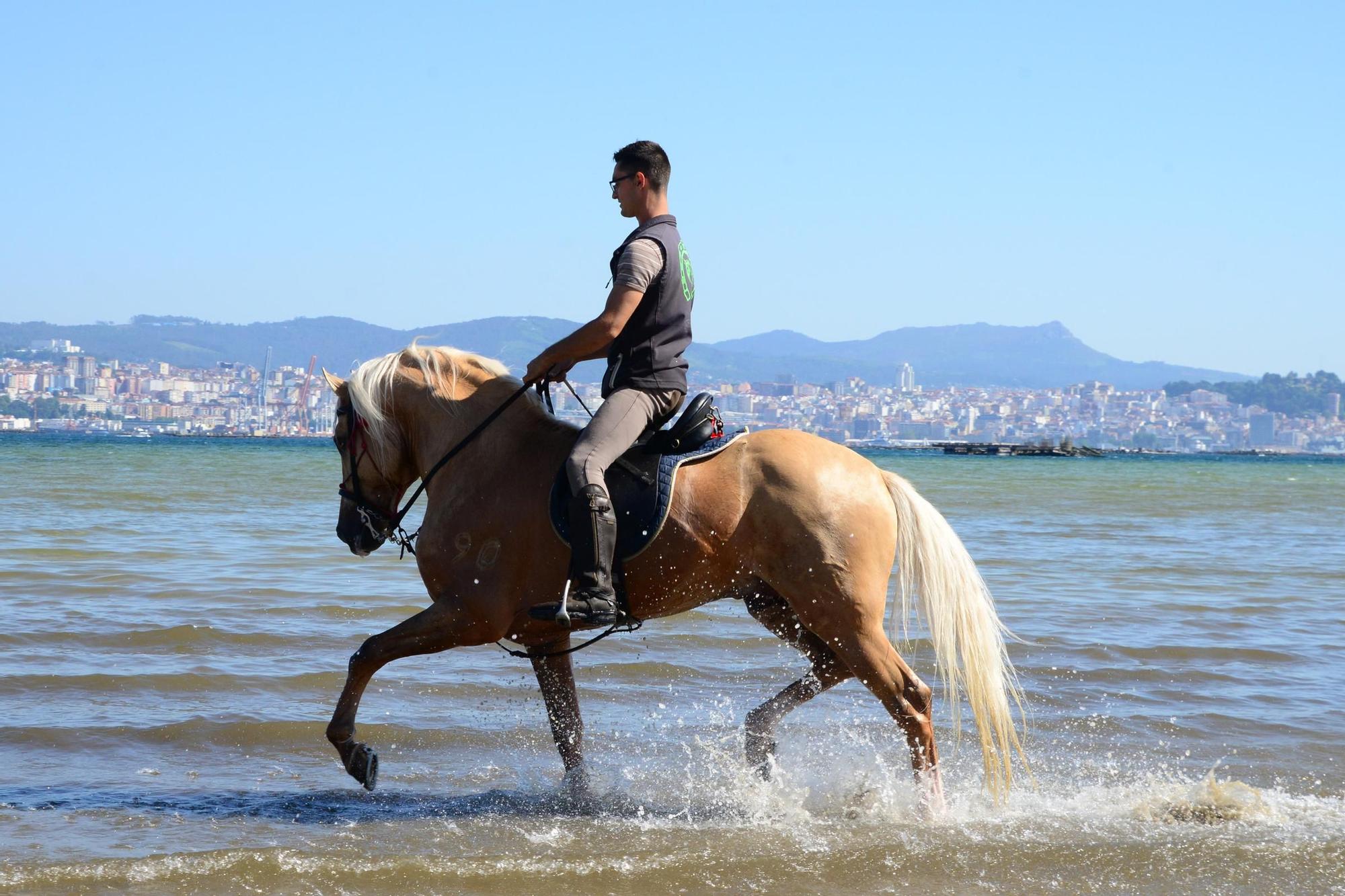 Una espectacular jornada a caballo por Moaña (I)