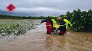 El campo alicantino se lleva la mejor parte de Adam: una marjal plena en Pego y solo siniestros puntuales