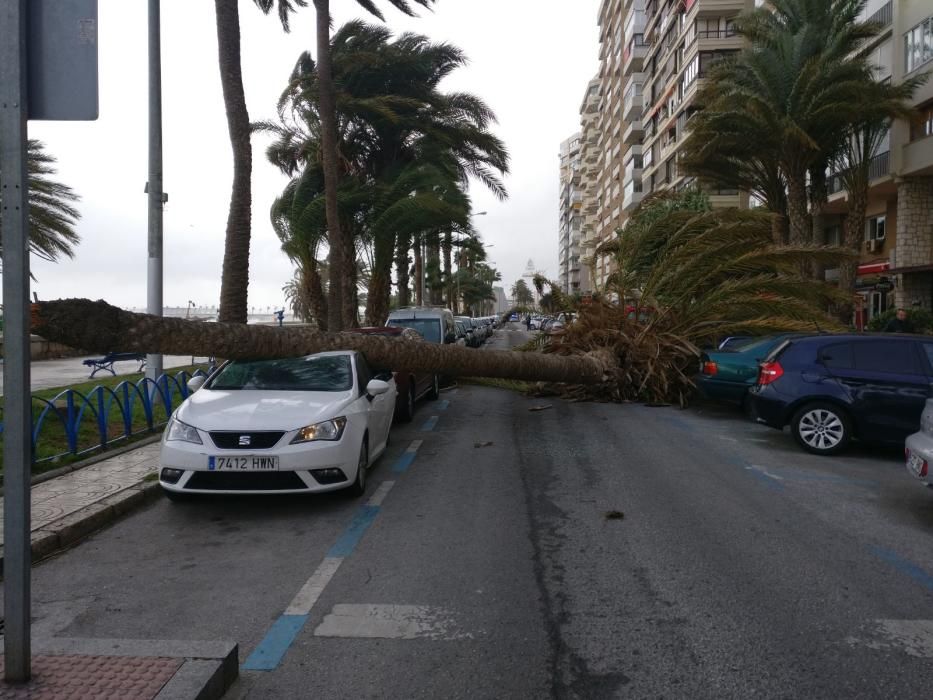 Temporal de viento y lluvia en Málaga