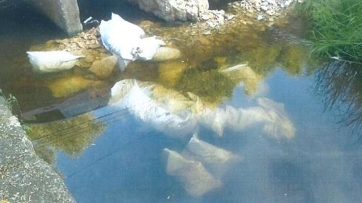 Sacos de escombros en el interior del torrente de Sant Jordi, en el municipio de Pollença.