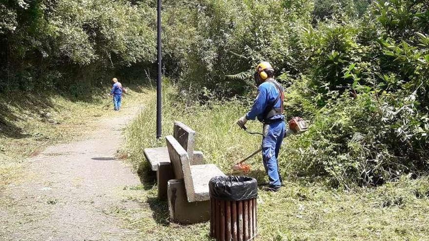 El plan de limpieza de sendas de Mieres se activa en Rioturbio