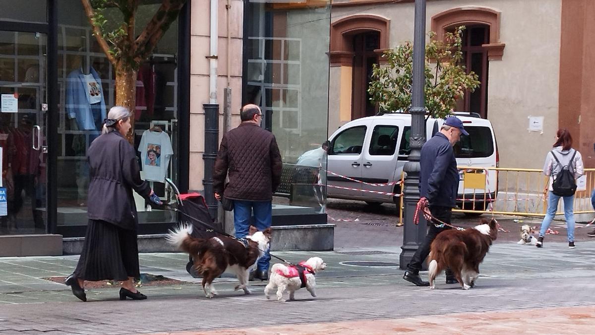 Mascotas con sus dueños en una calle de Langreo