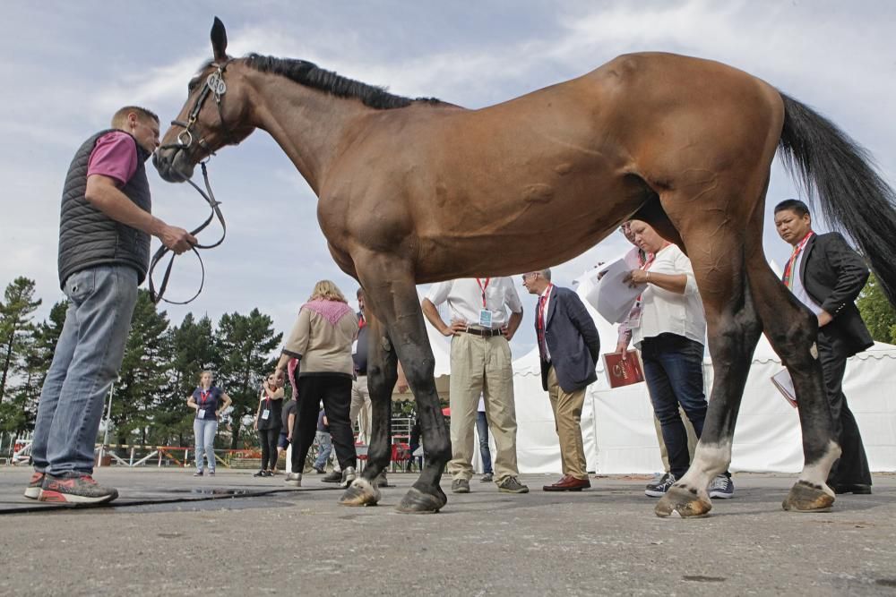 Preparativos del Concurso de Saltos Internacional