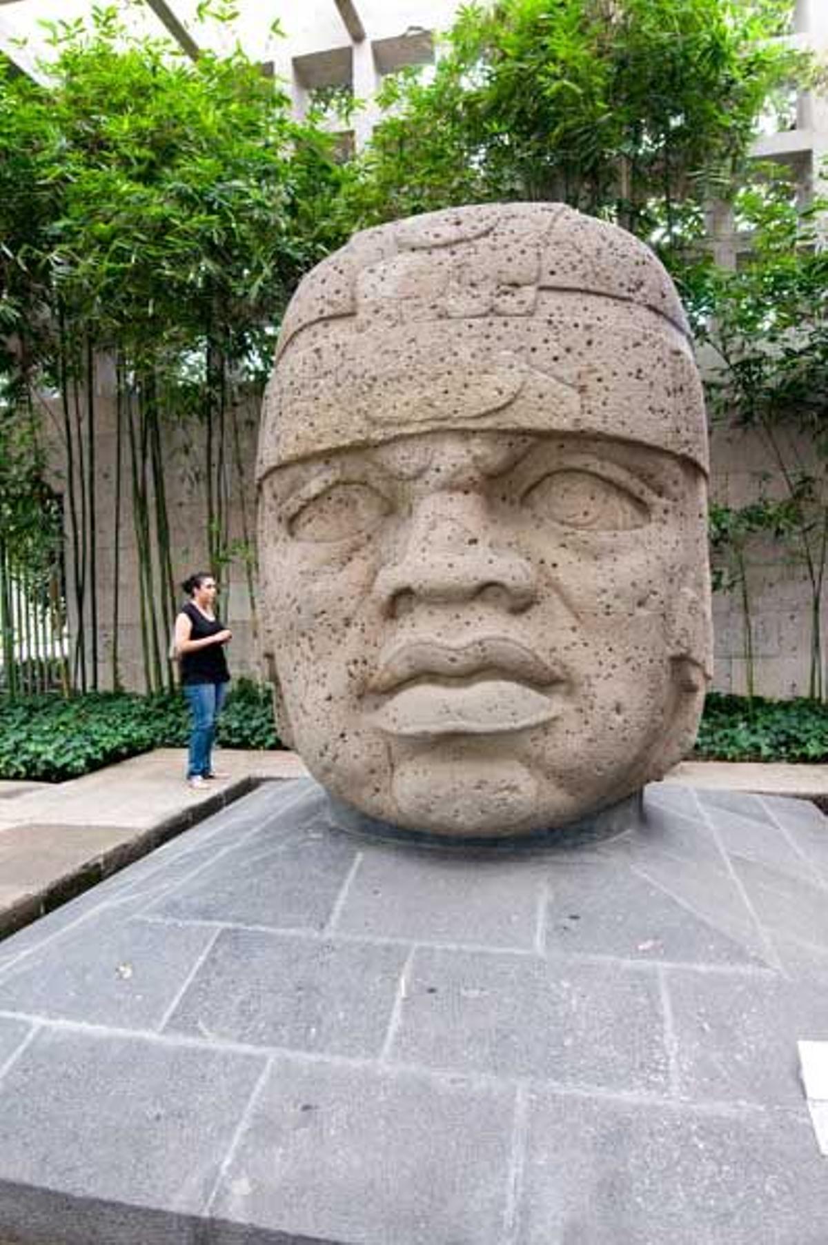 Cabeza olmeca en el Museo de Antropología de Xalapa