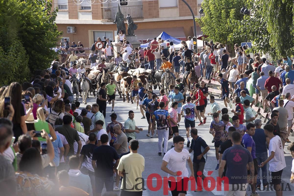 Séptimo encierro de las Fiestas de Moratalla