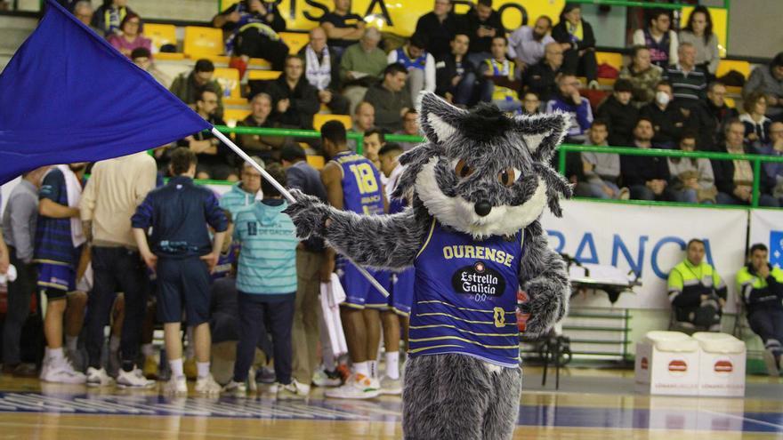 El Club Ourense Baloncesto vuelve a la cancha del Pazo este sábado ante Juaritsi ISB. |  // IÑAKI OSORIO