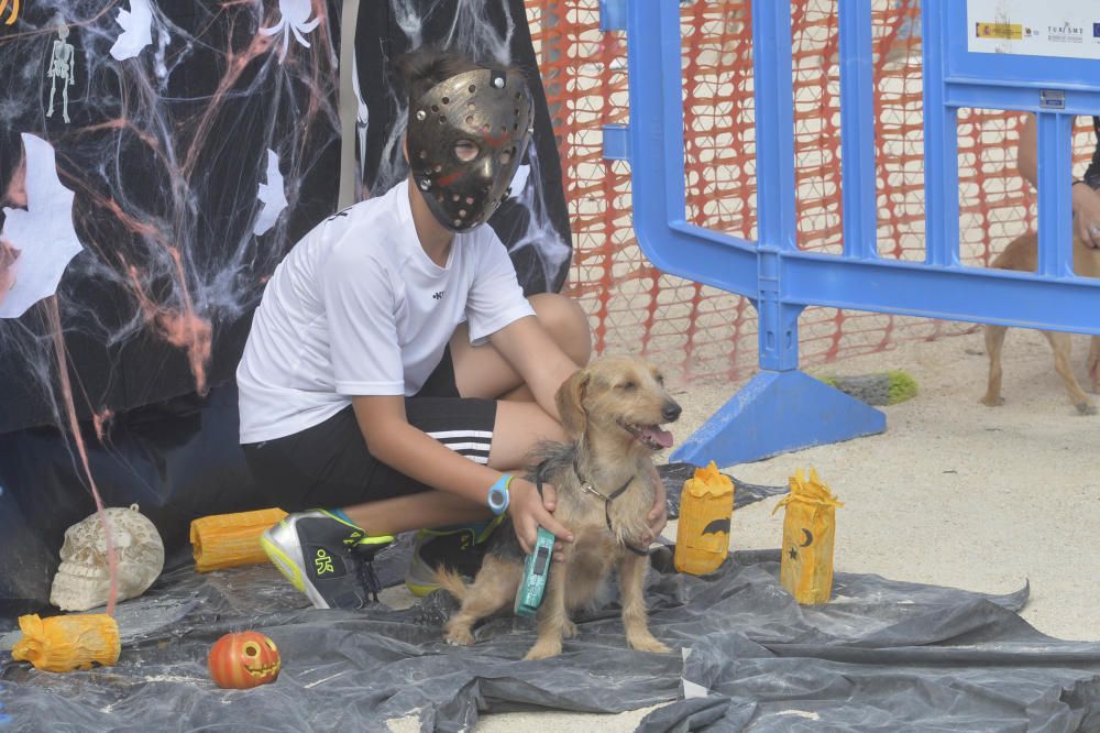 Halloween en el parque canino de Gran Alacant