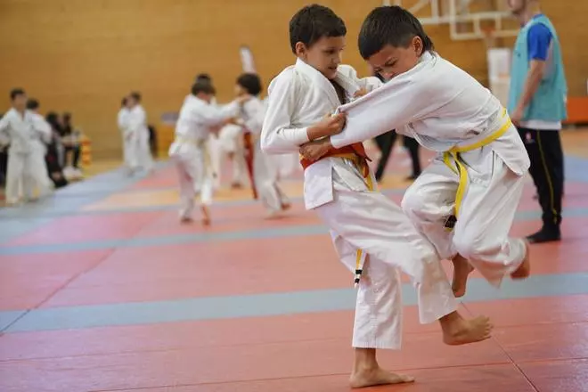 Les imatges del torneig infantil de judo de l'Esport-7