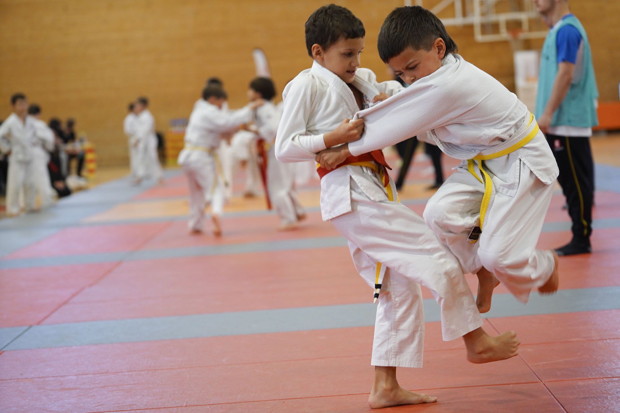 Les imatges del torneig infantil de judo de l'Escola 7