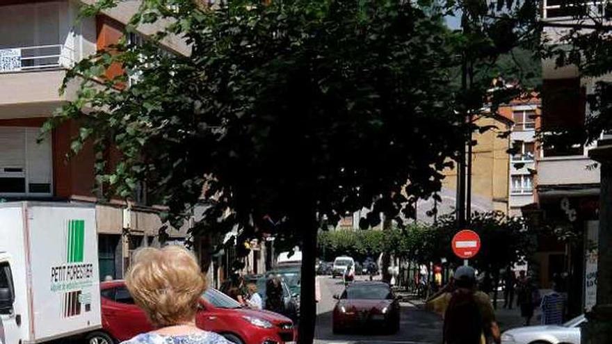 Una vecina pasea a su mascota por el entorno del Ayuntamiento.