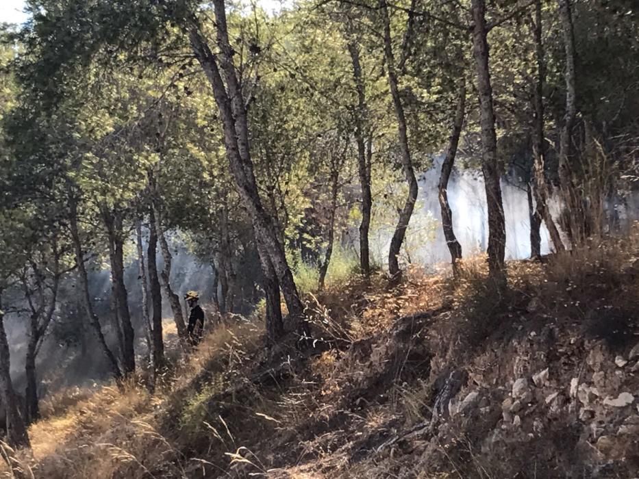 Pequeño incendio forestal en la Serra Grossa