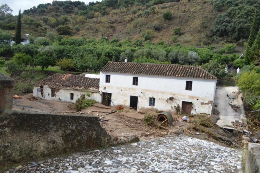 Daños en Coín tras la lluvia de anoche.