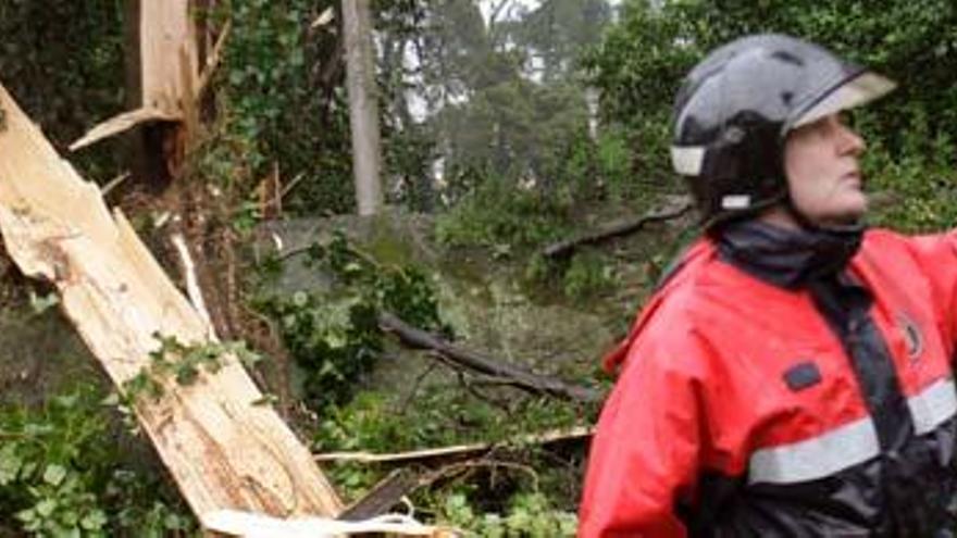 Un bombero junto a un árbol caído, una de las consecuencias del temporal que asola la región gallega y que afecta a sus cuatro provincias.