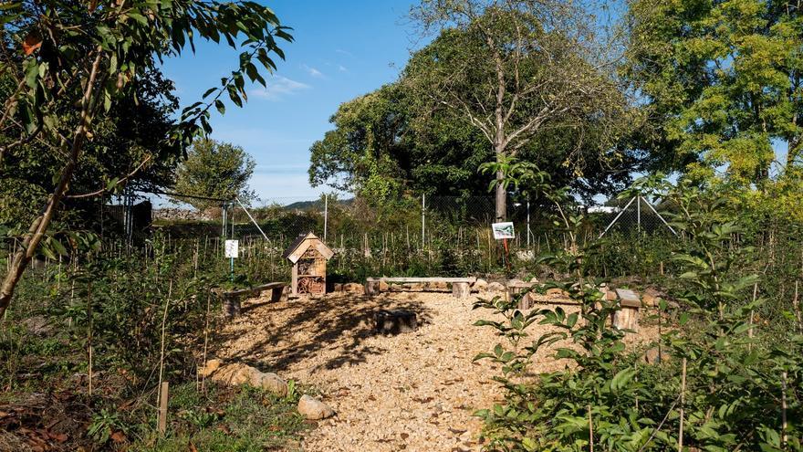 El mejor bosque urbano de España está en el centro de Asturias