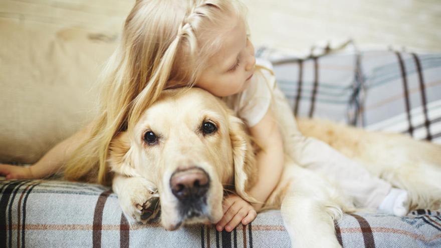 Las mascotas son fundamentales en el desarrollo infantil.