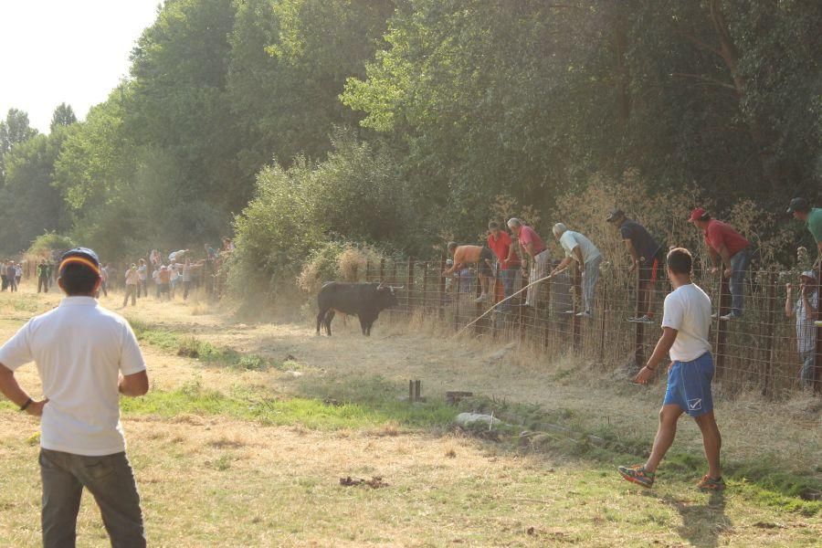 Fiestas en Zamora: Villamor de los Escuderos