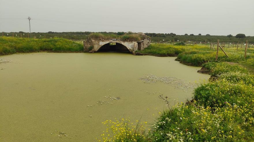 Alertan del estado de la ermita de San Jorge de Cáceres: &quot;Es una vergüenza&quot;