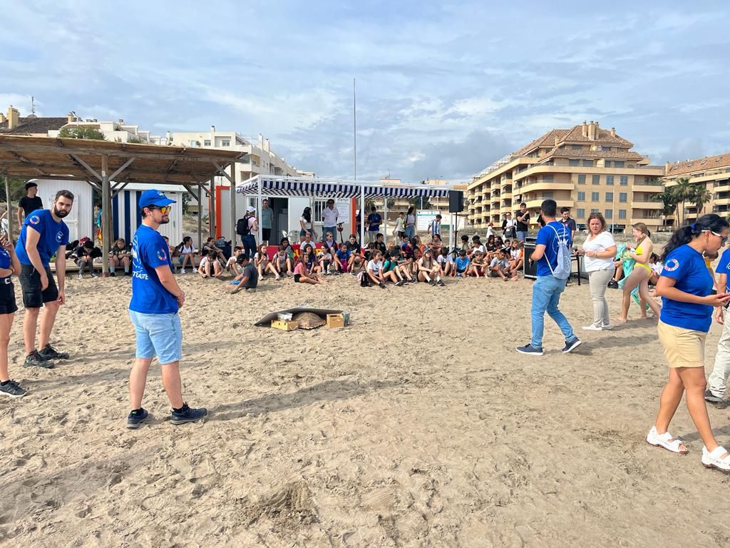 Tres tortugas vuelven al mar en Dénia