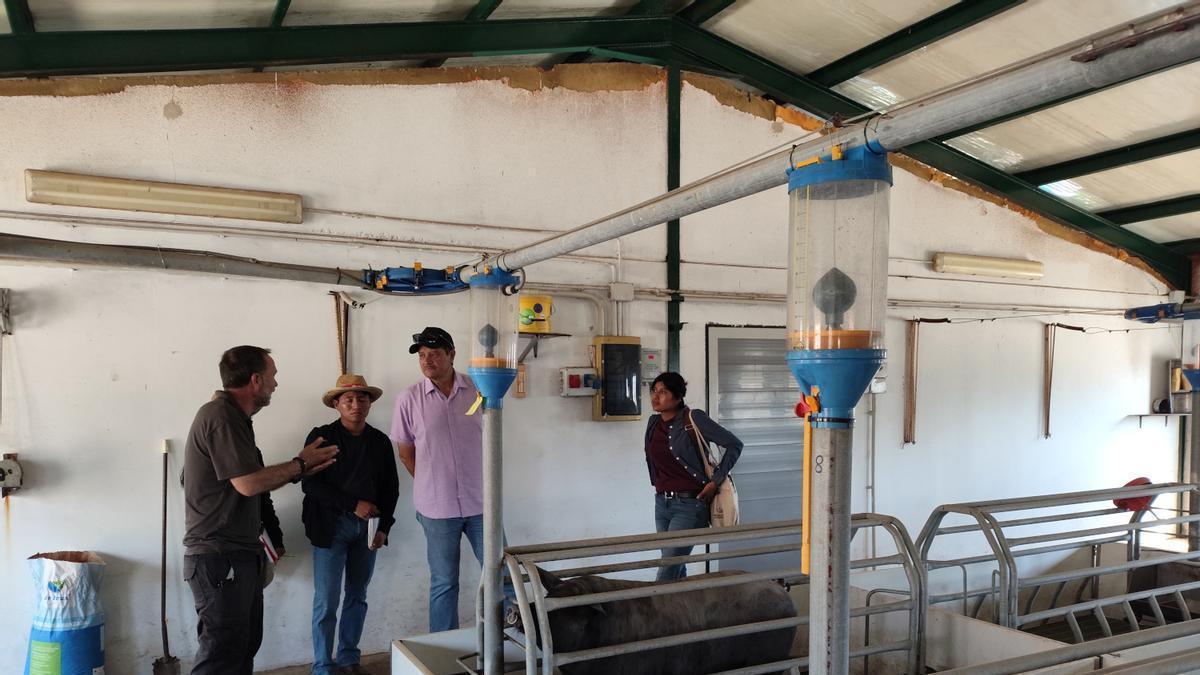 Estudiantes mexicanos visitando la finca La Cocosa.