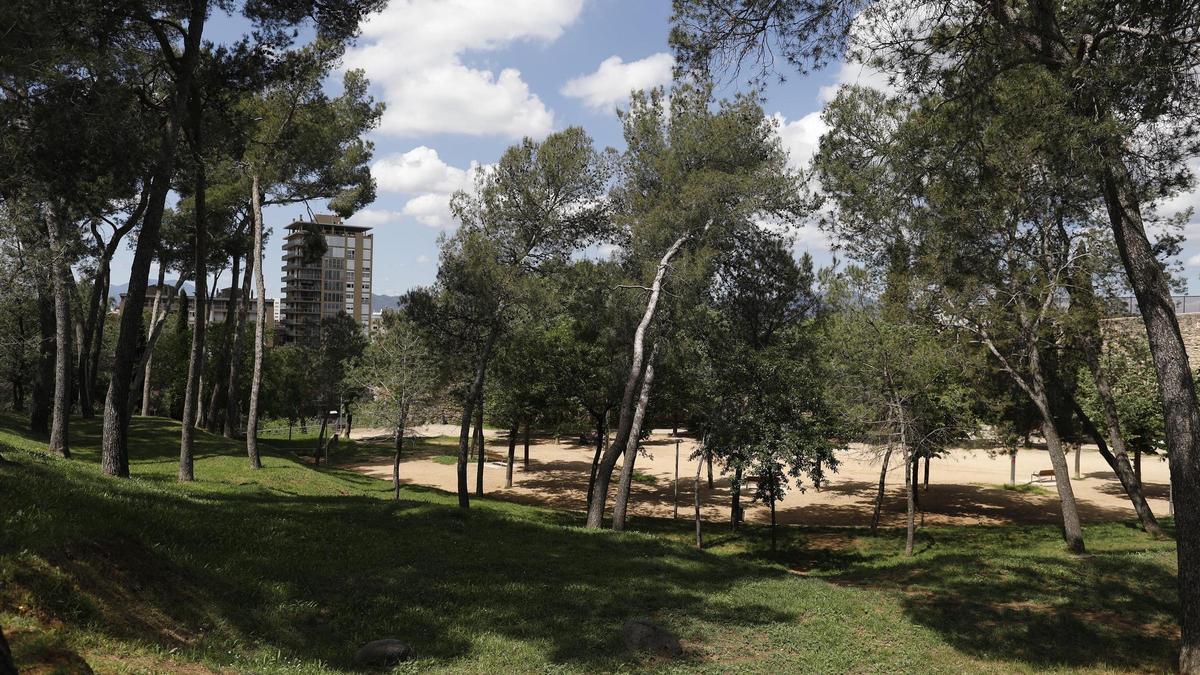 Una imatge actual dels jardins de les Pedreres.