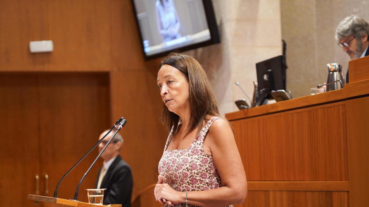 La consejera de Educación, Ciencia y Universidades de la DGA, Carmen Susín, este viernes en el pleno de las Cortes.