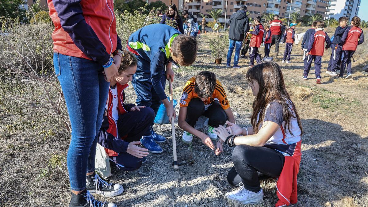 Los alumnos de Salesianos reforestan la "montaña del huevo" por tercer año consecutivo