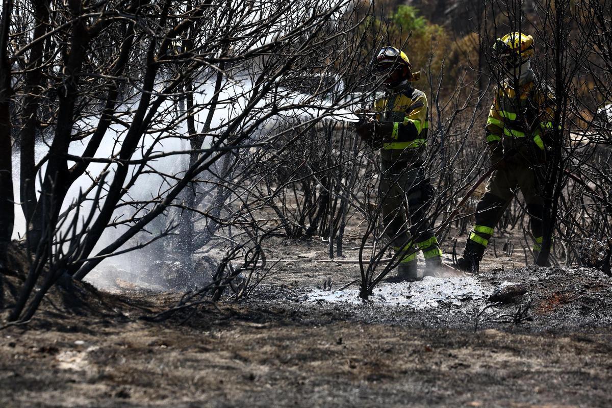 En imágenes | Así trabaja el operativo de extinción en el quinto día de incendio en las Cinco Villas