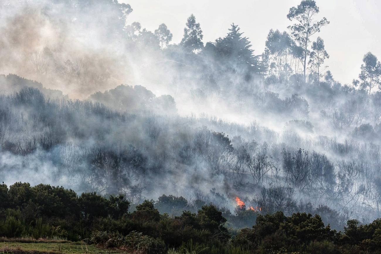 Incendio en La Laguna