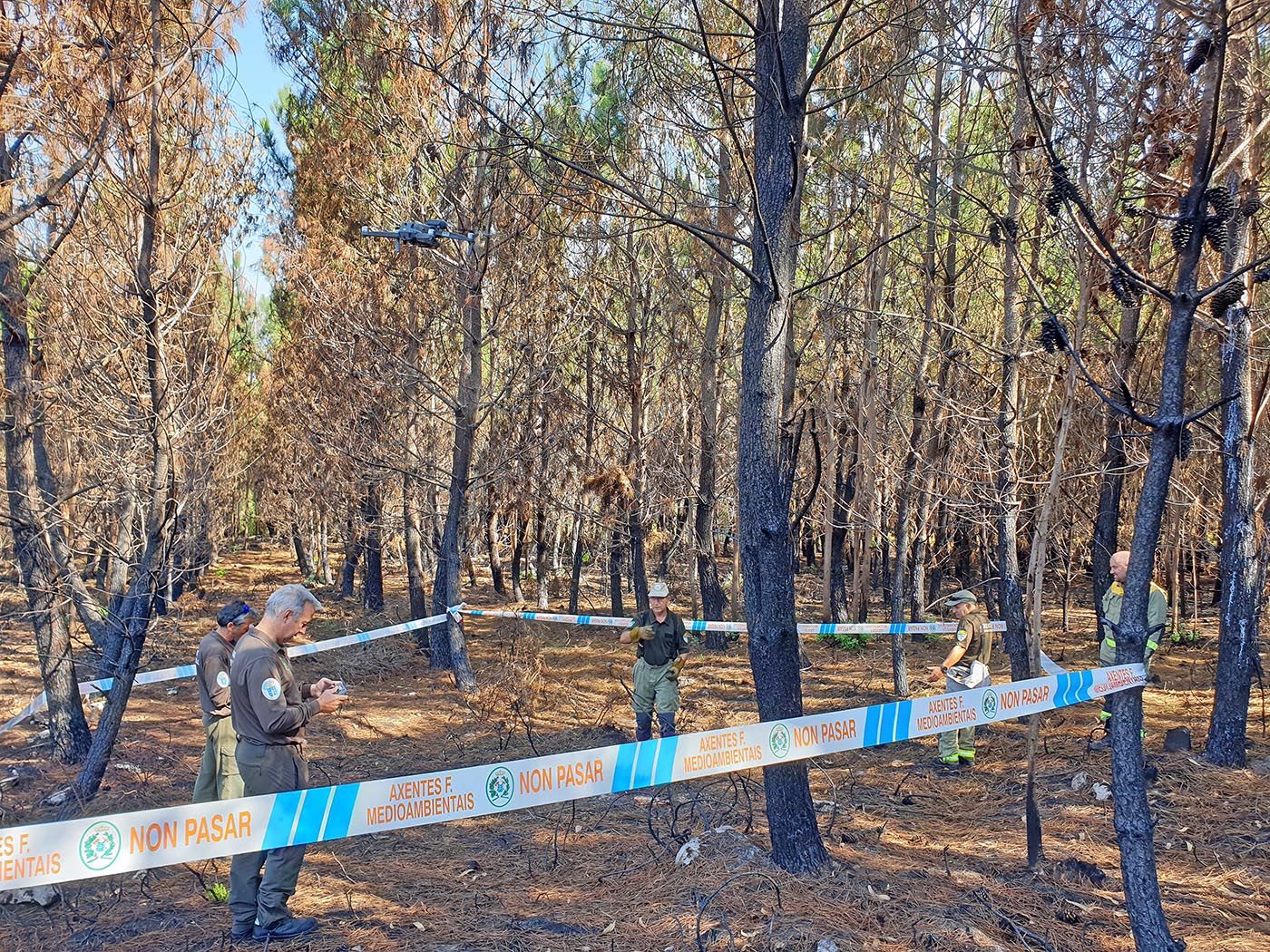 Rastreadores de incendios